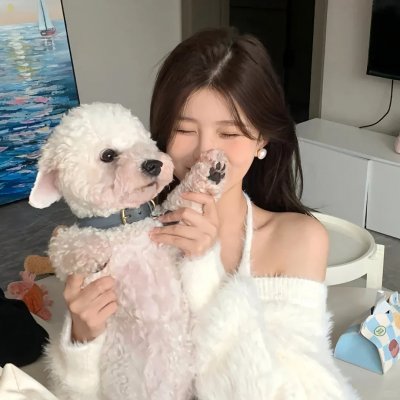 小鸟总动员