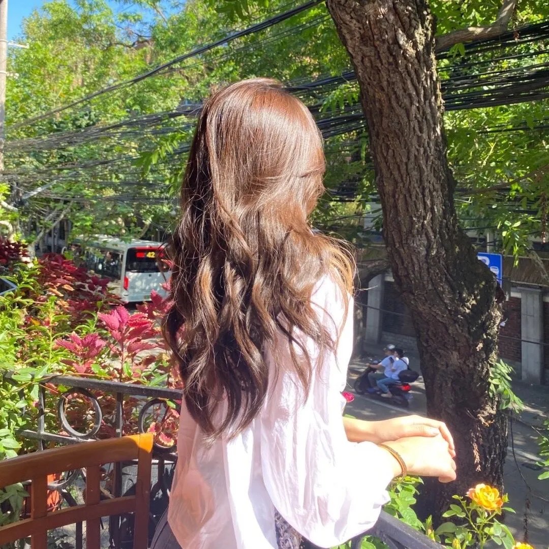 尼姆计划